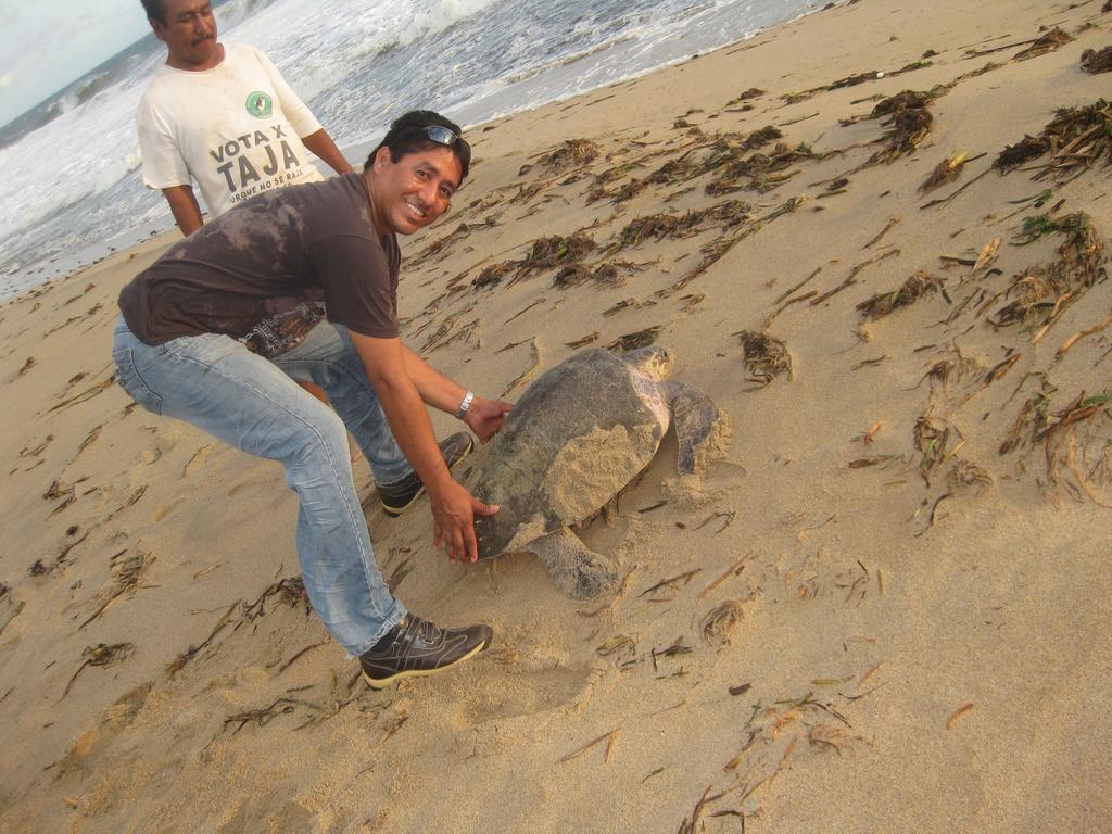 Posada Zaira Del Mar Coyuca Kültér fotó